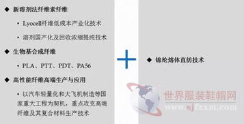 端小平 引领高性能纤维产业化技术重大突破，信息系统运行维护服务赋能产业升级